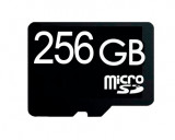 micro SD накопители 256 GB